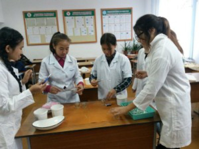 img-20161021-wa0019