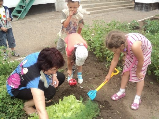 Организация трудовой деятельности детей в природе летом.
