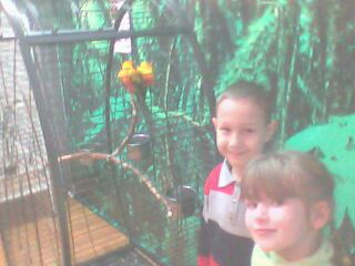 Посещение выставки тропических птиц.