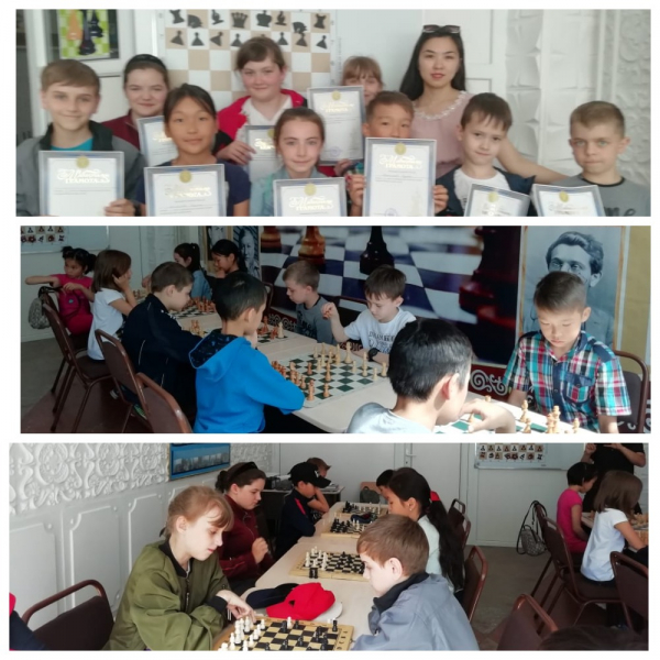 Товарищеский турнир по шахматам
