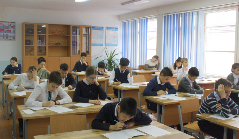 200 школьников 5 - 6 классов города проверили свои знания по математике