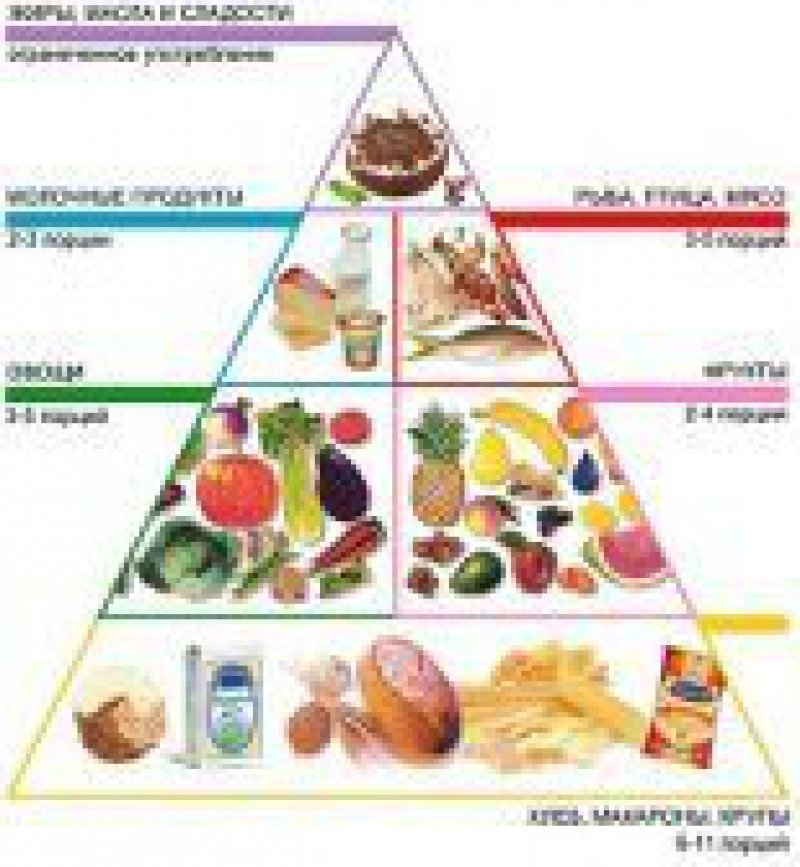 Какое питание должно быть при организованных. Правильное рациональное питание. Основы рационального питания. Пирамида правильного питания. Пиармиад питания.