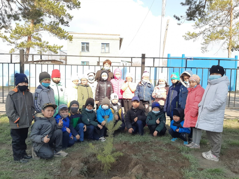 Учащиеся 2Ә класса приняли участие в экологической акции «Дерево класса».