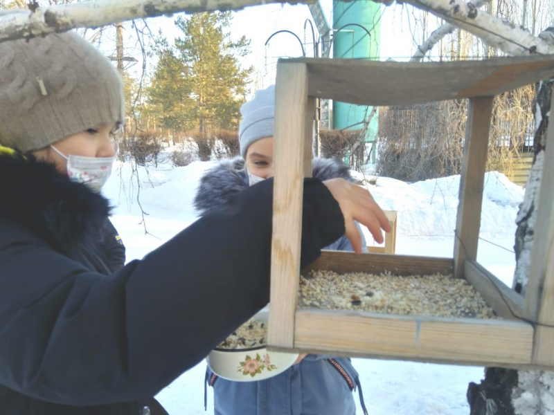 Школьники заботятся о пернатых в зимний период