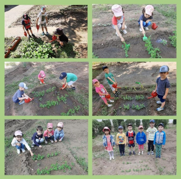 Огород в детском саду является одним из условий, которое необходимо для осуществления экологического воспитания детей в детском саду.